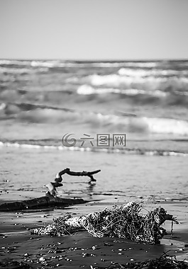 海滩,海上风暴,波