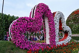 粉紅色的花,白色的花,花園