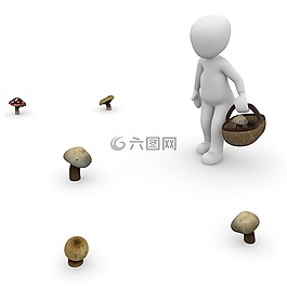 蘑菇,收集,秋季