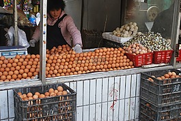 雞蛋,市場,供應(yīng)商