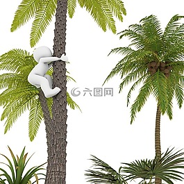 棕櫚,假期,海灘