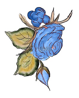 藍色,鮮花,玫瑰