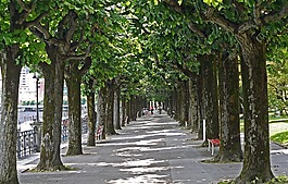 卢加诺,湖长廊,大道