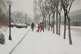 降雪,雪,铲