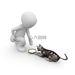 貓,牛奶,飼料