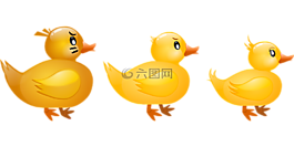 鴨,動(dòng)物,鳥