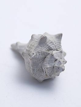 宏,外殼,性質(zhì)