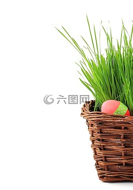 籃,慶典,裝修