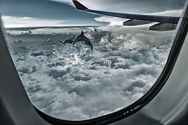 天空,高度,飛行