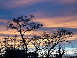 日落,天空,云