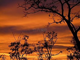 日落,天空,燒傷