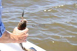 釣魚,漁,藍(lán)色的天空