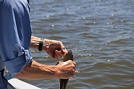 釣魚,漁,藍(lán)色的天空