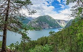 峽灣,景觀,挪威