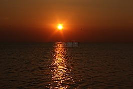 日落,海灘,海