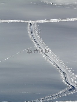 追蹤,徑,越野滑雪