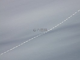 追蹤,冬天,雪