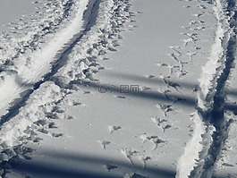 追蹤,徑,越野滑雪
