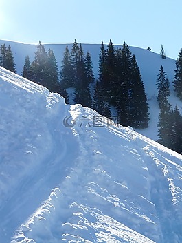 痕跡,雪,滑雪
