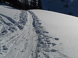 痕跡,徑,雪