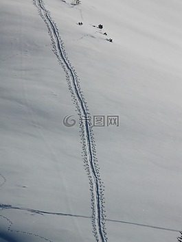 追蹤,冬天,雪