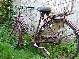自行車,花園,籃