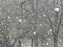 降雪,雪,雪花