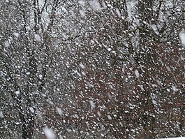 降雪,雪,雪花