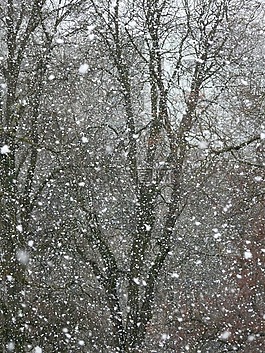 降雪,雪,雪花