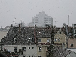 降雪,雪,雪花