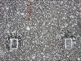 降雪,雪,雪花