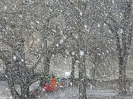 降雪,雪,雪花