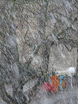 降雪,雪,雪花