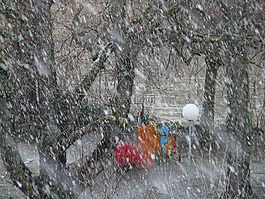 降雪,雪,雪花
