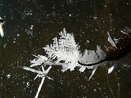 冰晶體,冰,凍結(jié)