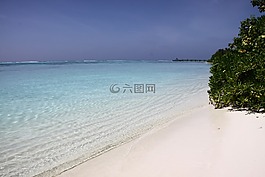 马尔代夫,水,海