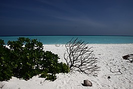 马尔代夫,水,海