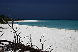 马尔代夫,水,海