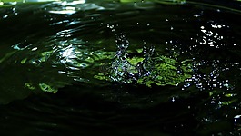 滴,水,閃耀