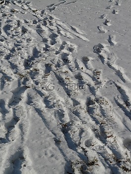 痕跡,雪,寒冬