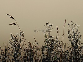 場,秋,性質(zhì)