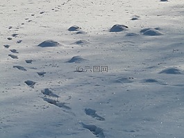 小丘,尺寸,寒冬