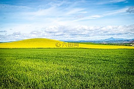 天空,字段,藍(lán)色的天空