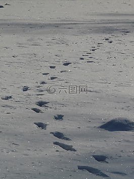 尺寸,小丘,寒冬