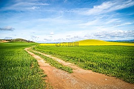 路徑,字段,培養(yǎng)