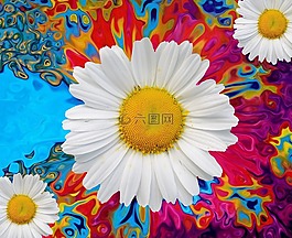 開花,鮮花,性質