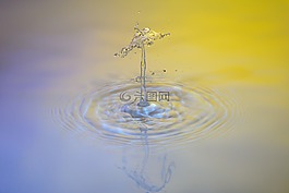 滴,水,一滴水