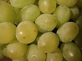 葡萄,水果,綠色
