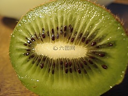 獼猴桃,水果,健康