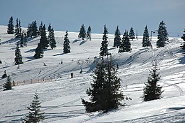 滑雪,山,雪
